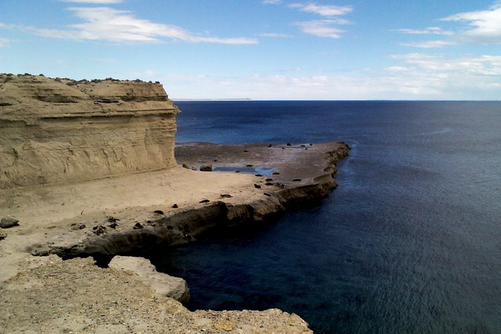 Shore Excursion: Private Day Trip to Peninsula Valdes from Puerto Madryn - Image 3