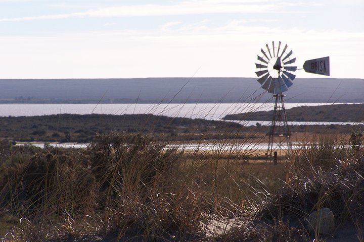 Shore Excursion: Private Day Trip to Peninsula Valdes from Puerto Madryn - Image 5