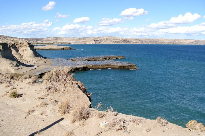 Shore Excursion: Private Day Trip to Peninsula Valdes from Puerto Madryn - Image 4