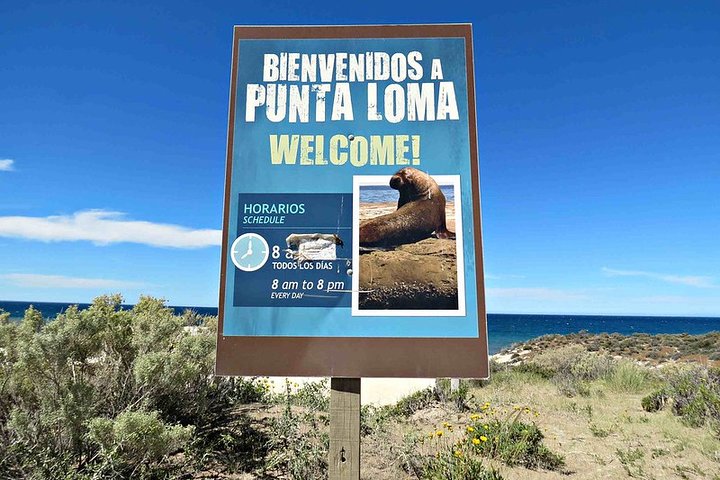 Shore Excursion Punta Loma Sea Lions Reserve Including Puerto Madryn City Tour - Image 2
