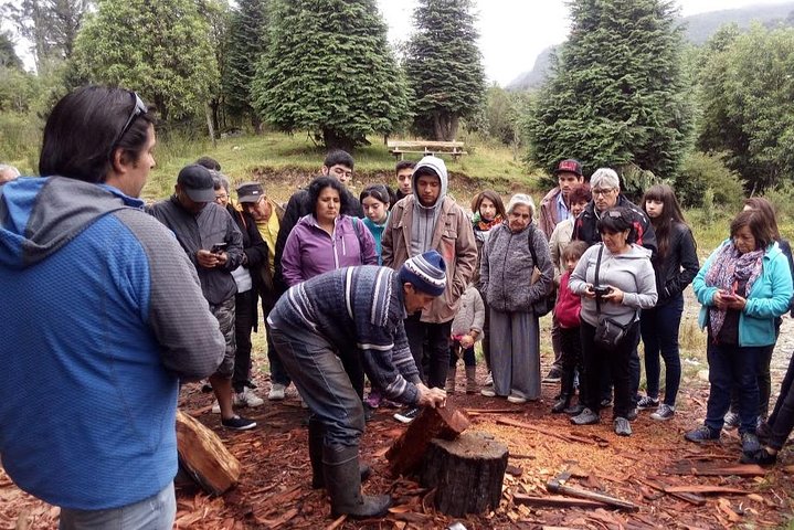 Austral / Hornopiren Road Tour - Image 3
