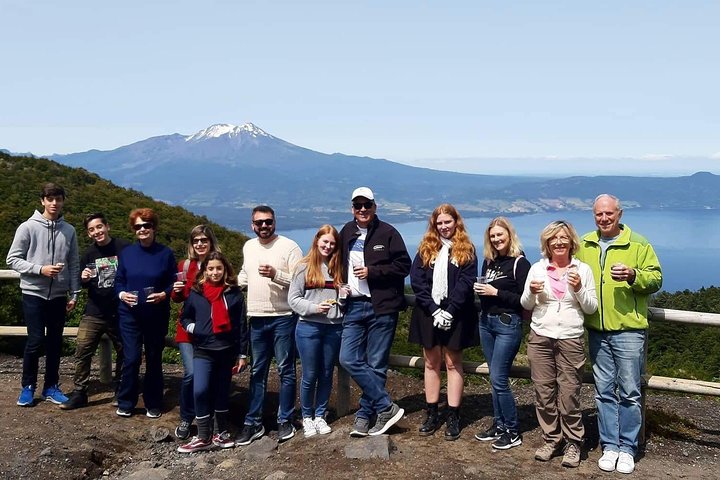 Osorno Volcano, Petrohue Falls and Puerto Varas Shore Excursion - Image 5