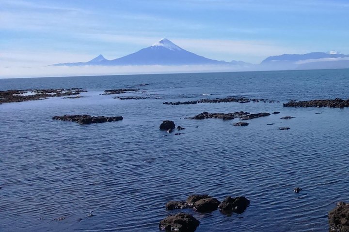 Private Shore Excursion Tour to Puerto Montt, Puerto Varas and Frutillar - Image 5