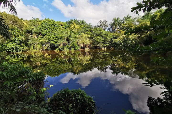 6-Hour Guided Tour in Dominican Countryside with Pick-up Included - Image 1