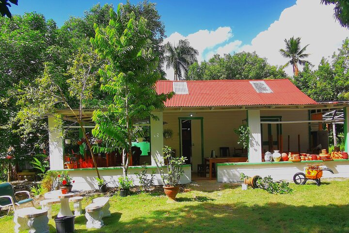6-Hour Guided Tour in Dominican Countryside with Pick-up Included - Image 5