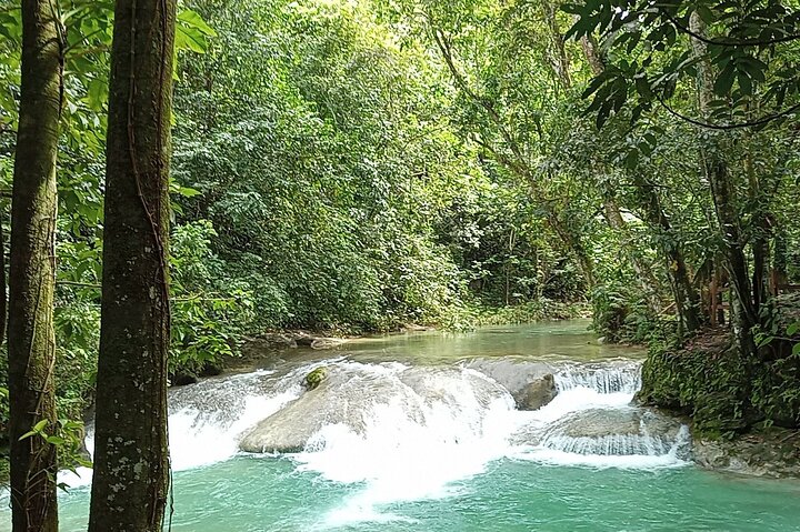 6-Hour Guided Tour in Dominican Countryside with Pick-up Included - Image 3