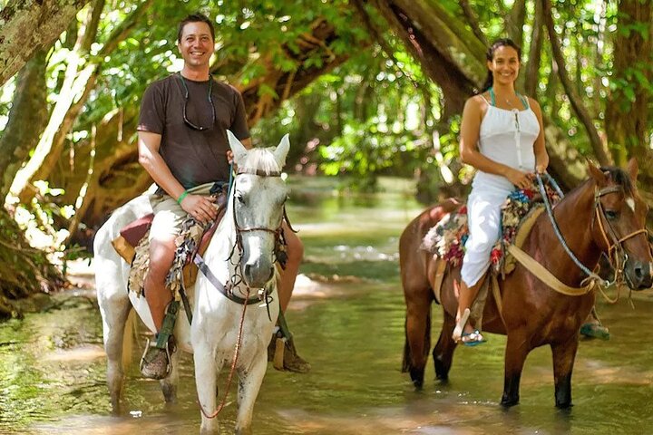 Amazing 3-Hour Horseback Riding at Puerto Plata with Pickup - Image 4