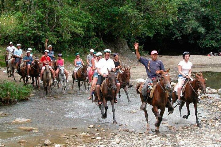 Amazing 3-Hour Horseback Riding at Puerto Plata with Pickup - Image 2