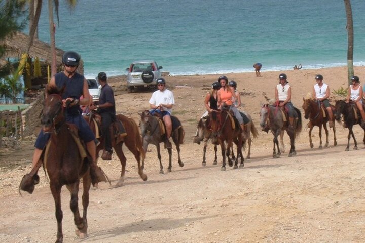 Amazing 3-Hour Horseback Riding at Puerto Plata with Pickup - Image 1