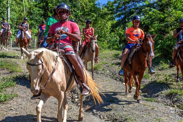 Amazing 3-Hour Horseback Riding at Puerto Plata with Pickup - Image 3