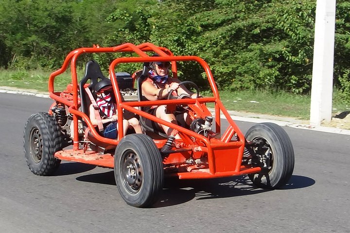 Family Buggy Tour  - Image 4