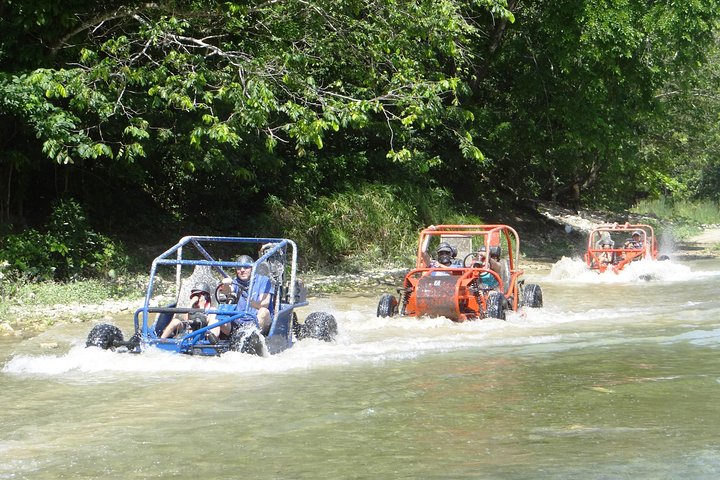 Family Buggy Tour  - Image 3