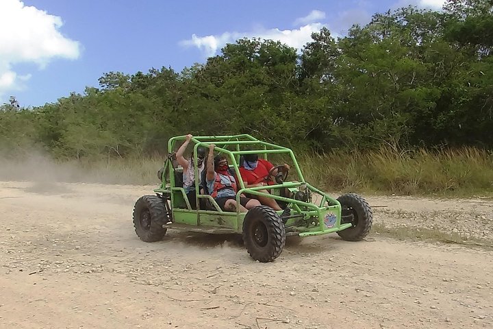 Family Buggy Tour  - Image 1