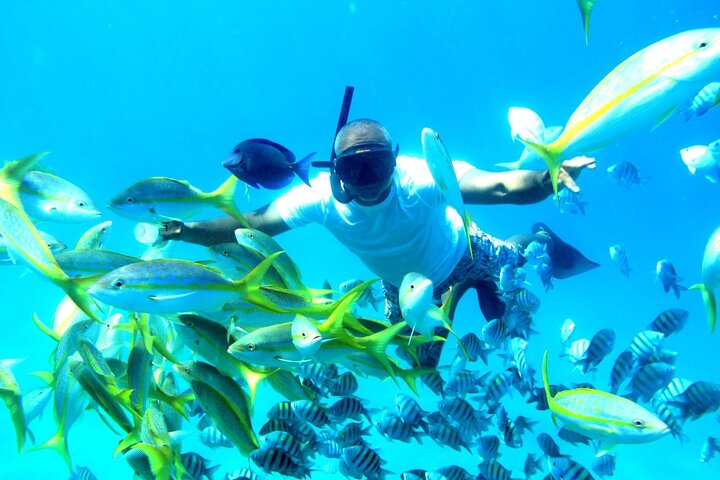 Fascinating Boat Ride & Snorkeling at Sosua Bay - Image 4