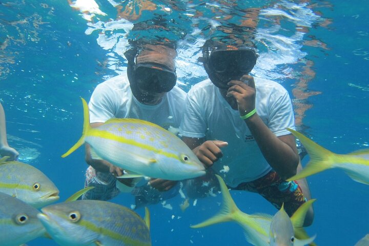 Fascinating Boat Ride & Snorkeling at Sosua Bay - Image 2