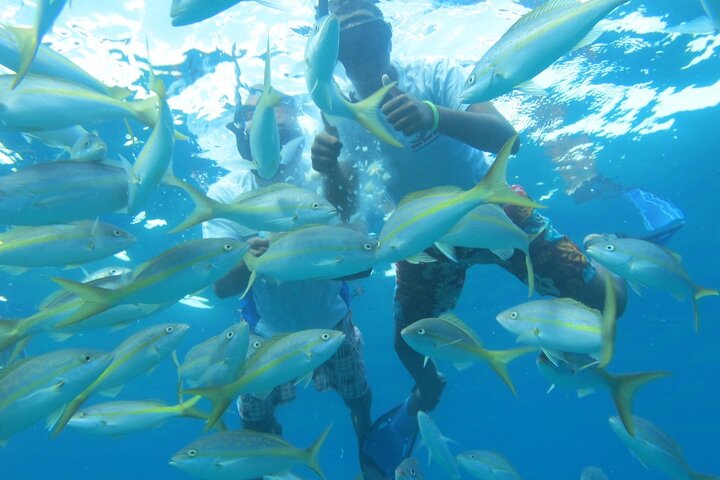 Fascinating Boat Ride & Snorkeling at Sosua Bay - Image 3