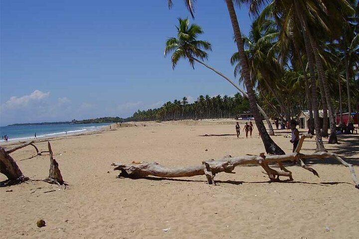 Full-Day Blue Lagoon Tour in Dominican Republic - Image 3