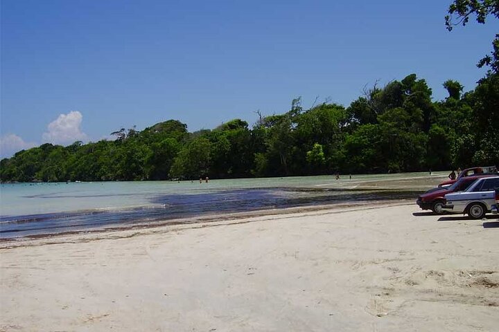 Full-Day Blue Lagoon Tour in Dominican Republic - Image 2