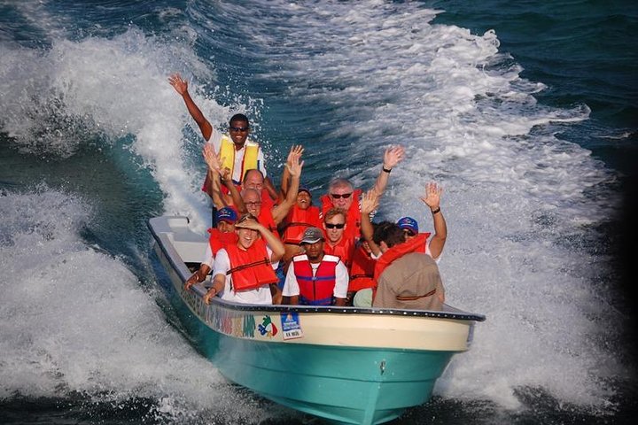 Full Day Tour to Paradise Island - Cayo Arena  - Image 3