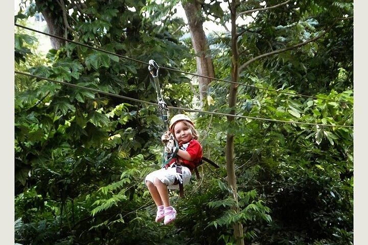 Great Double Adventure Damajagua and Zipline from Puerto Plata - Image 4