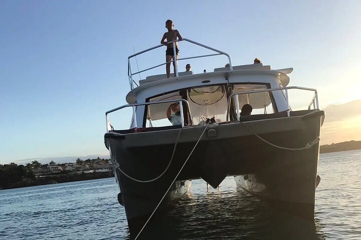Half-Day Private Catamaran Tour in Puerto Plata  - Image 5