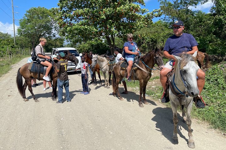 Horseback riding tours by the Beach - Image 5