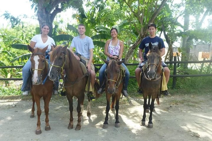 Horseback riding tours by the Beach - Image 2