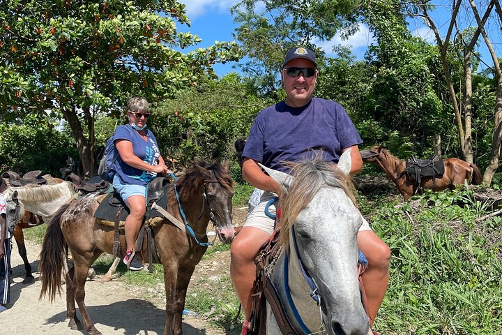 Horseback riding tours by the Beach - Image 3