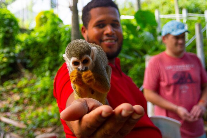 Monkey Enconter & Zip line Adventure - Image 1