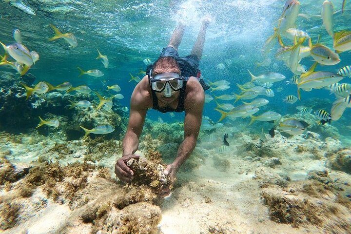 Paradise Island Puerto plata - Image 1