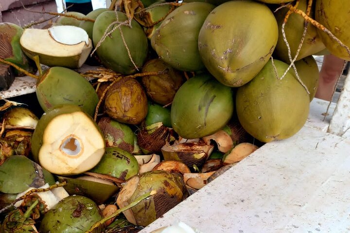 Private Puerto Plata Food Tour and Beach Chillout  - Image 2