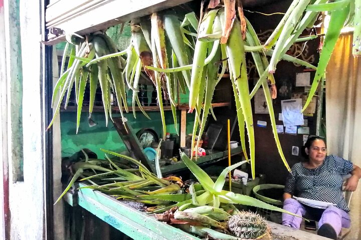 Private Tour: Cocoa, Coffee, Local Market and Cigars Factory - Image 5