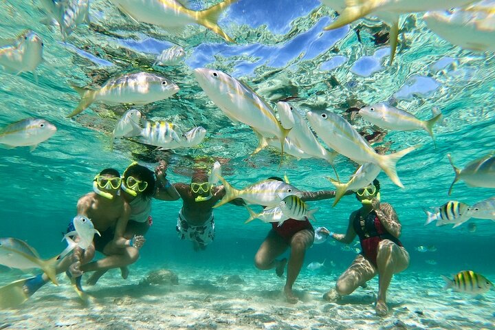 Private Tour to Paradise Island with Snorkel & Manatee Sanctuary - Image 3