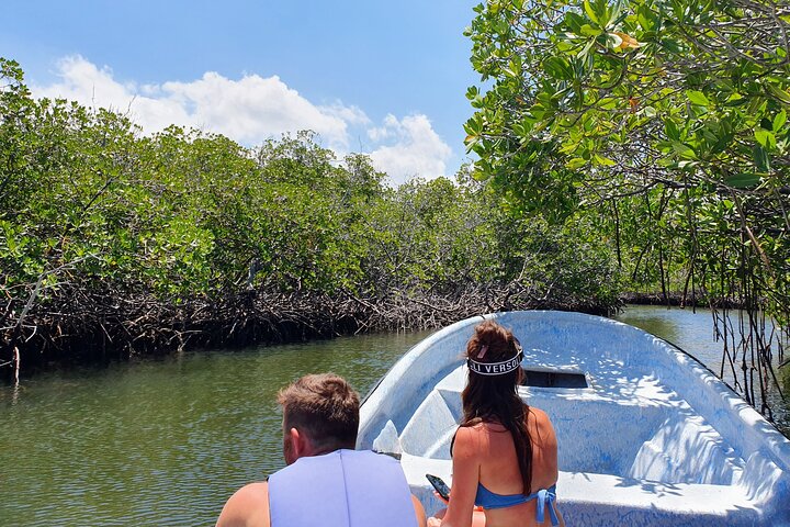 Private Tour to Paradise Island with Snorkel & Manatee Sanctuary - Image 2