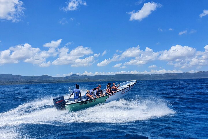 Private Tour to Paradise Island with Snorkel & Manatee Sanctuary - Image 4