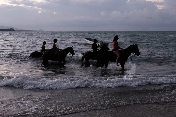 Puerto Plata: Beach Half Day Horseback Riding  - Image 3