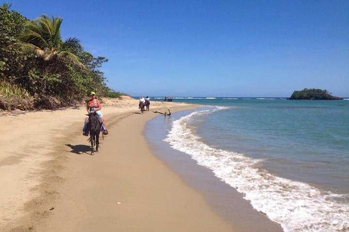 Puerto Plata: Beach Half Day Horseback Riding  - Image 1