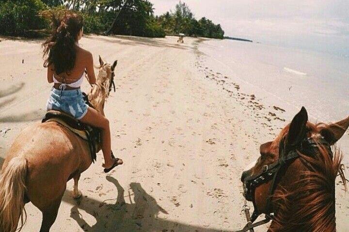 Puerto Plata: Beach Half Day Horseback Riding  - Image 4