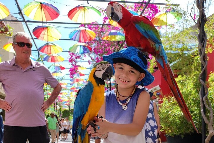 Puerto Plata City Tour - Image 4