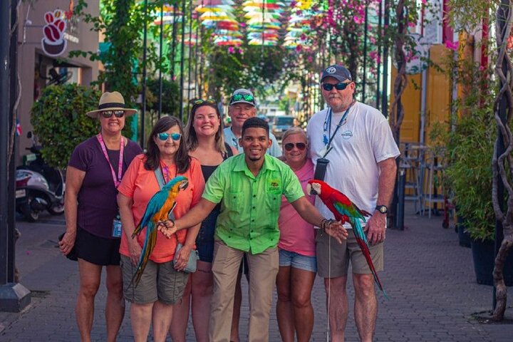 Puerto Plata City Tour - Image 1