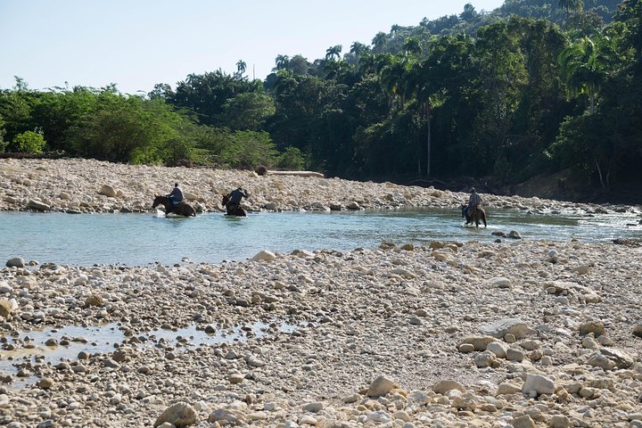 Puerto Plata: Mountain Half Day Horseback Riding - Image 5