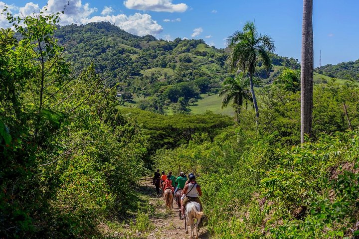 Puerto Plata: Mountain Half Day Horseback Riding - Image 1
