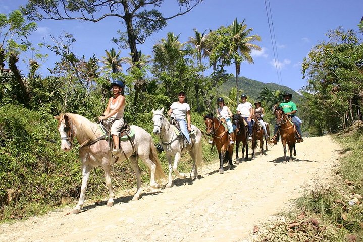 Puerto Plata: Mountain Half Day Horseback Riding - Image 4