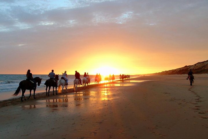 Puerto Plata: Sunset Beach Horseback Riding - Image 3