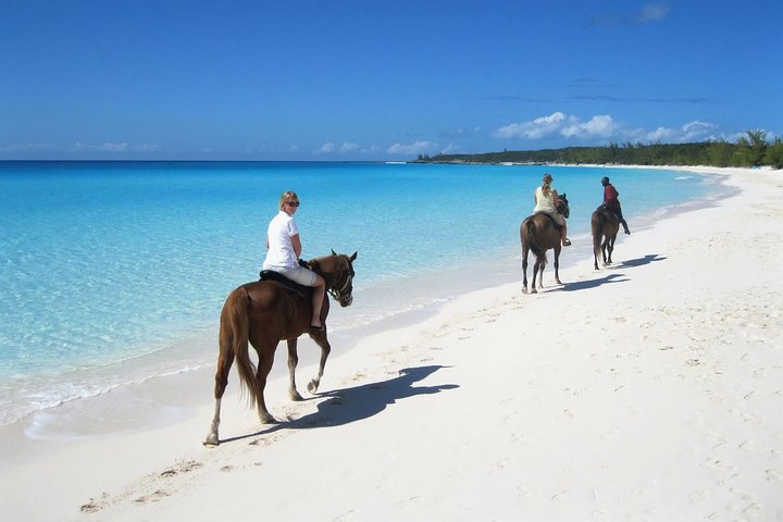Puerto Plata: Sunset Beach Horseback Riding - Image 5