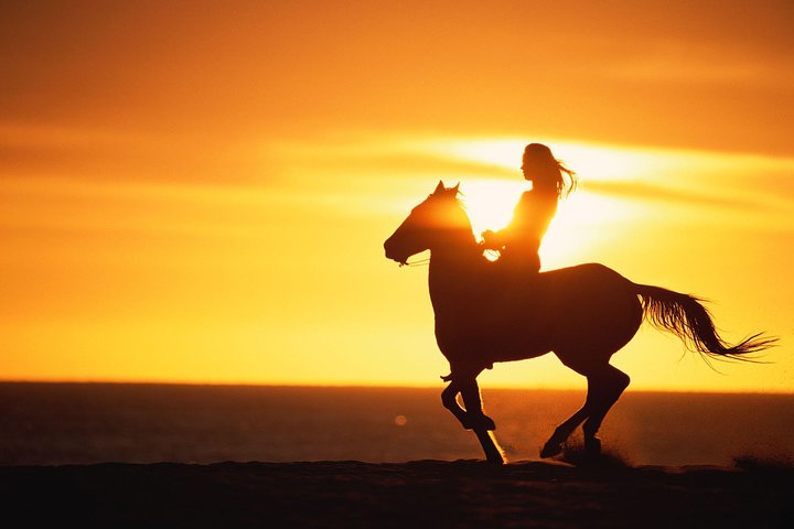 Puerto Plata: Sunset Beach Horseback Riding - Image 2