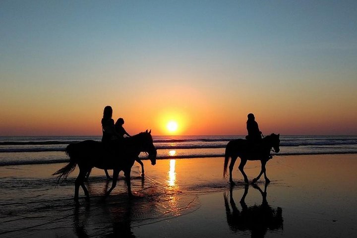 Puerto Plata: Sunset Beach Horseback Riding - Image 1