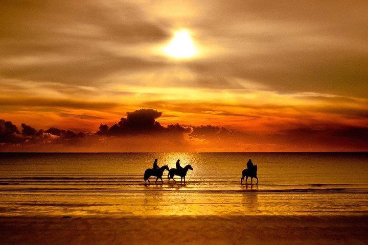 Puerto Plata: Sunset Beach Horseback Riding - Image 4
