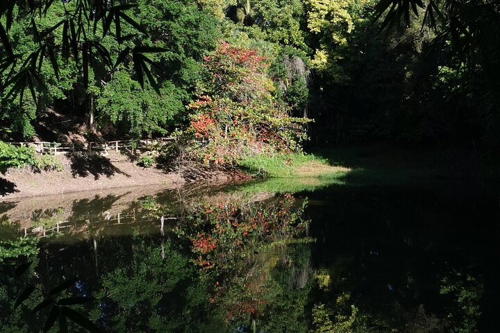 Taino Valley Tropical Park Puerto Plata Tubagua - Image 5