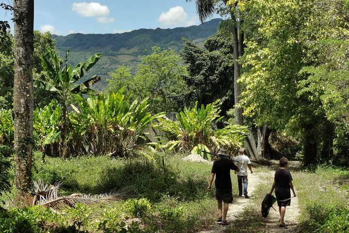Taino Valley Tropical Park Puerto Plata Tubagua - Image 1